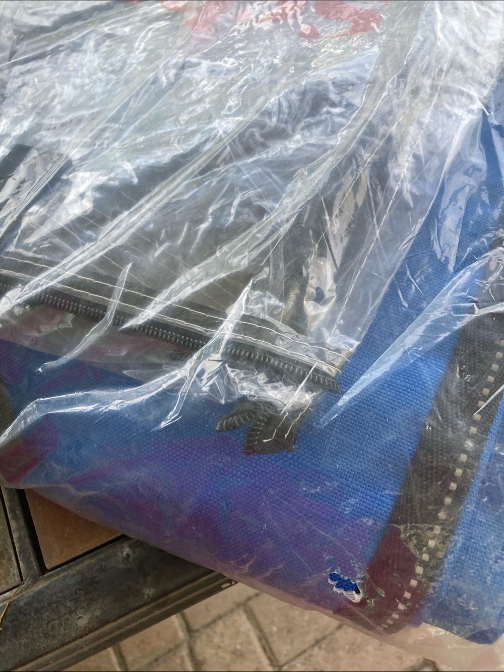 Big Horsie Schneider Royal Blue 84” Turnout w Belly Band - Picture 6 of 6